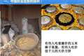 周天子六谷当主食，普通人啃树皮：古代阶级差距比你想象的更残酷