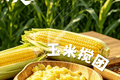 阿坝盛宴丨玉米搅团，“搅”出一碗山野康养滋味