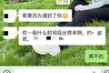 江苏盐城一社区卫生服务中心男医生涉嫌骚扰女患者，当地卫健委工作人员回应：涉事医生已被处理