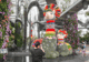 魔都眼|世界树之境美洲植物展:印加“神兽”羊驼等你打卡