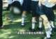 浙江一幼儿园多张毕业照被指“走光”,女童家长称与摄影机构多次协商仍有照片涂改后入册,后续交涉遭其辱骂