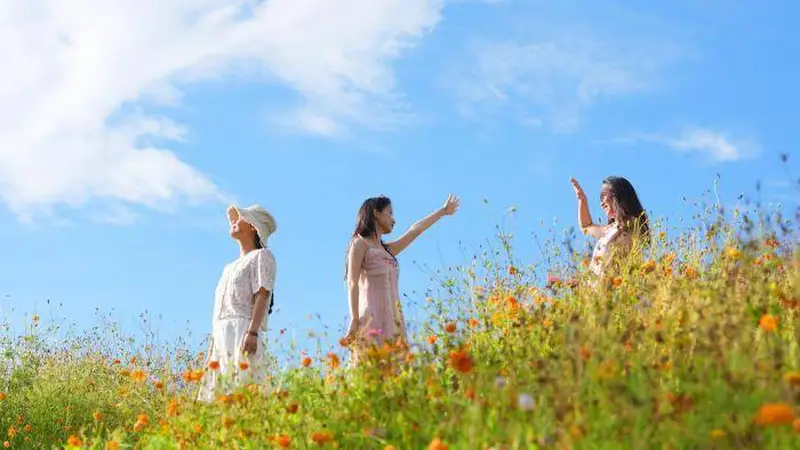 成都兴隆湖:湖畔花海与城市天际线同框引游人