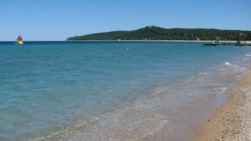 耗时百年修复!被破坏的湿地沙丘,如今重焕生机引鸟兽归巢