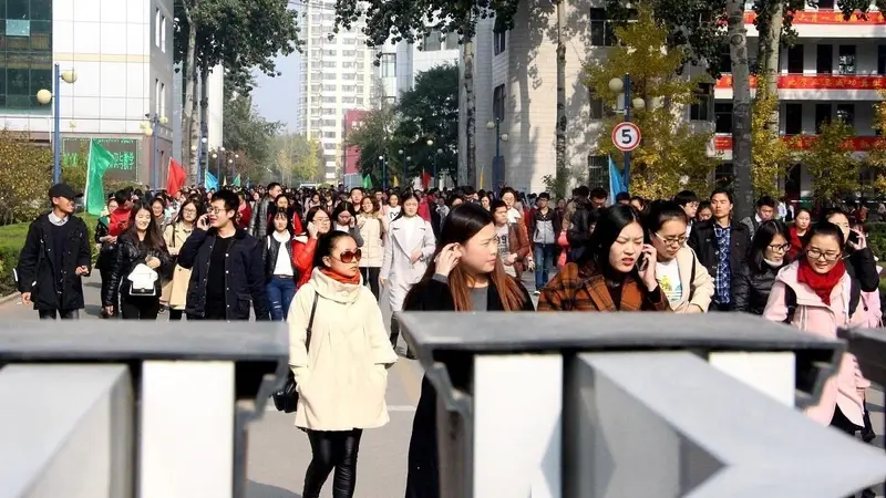第一个被裁的铁饭碗!未来十年,全国教师过剩数量将高达200万