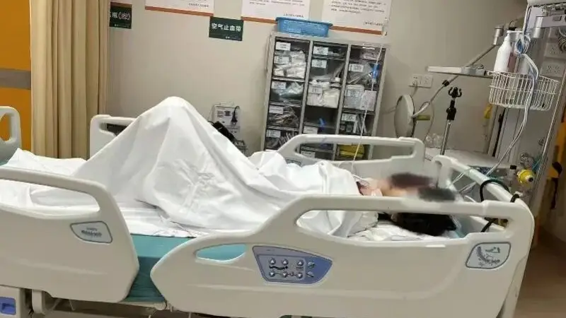 上海反虐猫志愿者遭网暴“开盒”、造黄谣后轻生,经抢救已脱险,家属将协助她依法维权