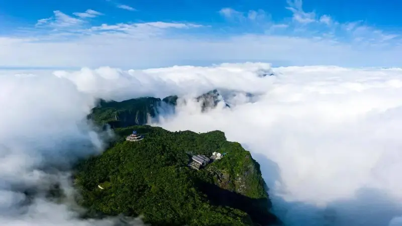 老外扎堆来，22℃湖南“天然空调房”火了！