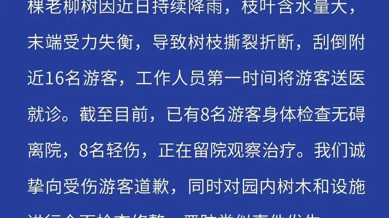 济南趵突泉景区致歉:一棵老柳树树枝折断刮倒16名游客,其中8人轻伤正留院观察治疗