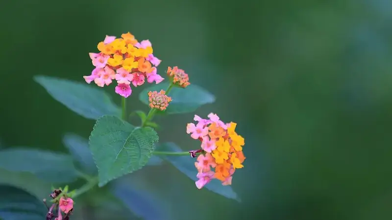 李春华：尴尬的早晨