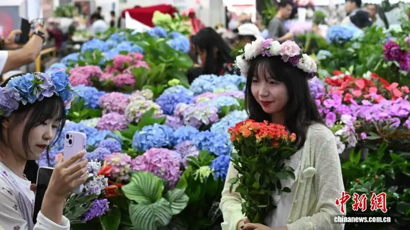 春城“香”遇八方客 斗南花市人气旺