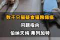 【数千只猫疑食猫粮瘫痪，问题指向伯纳天纯、弗列加特，伯纳天纯回应：已成立专项小组跟进调查】