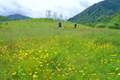 四川石棉：摄影基地百花开，避暑拍照两相宜！