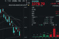 长鑫科技、中际旭创，大跌后大涨！科技股“二次探底”成功了吗？