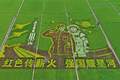 稻田作画绘山河