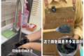 “不建议大家买深色蛋糕”上热搜！深色蛋糕是怎么做成的？