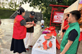 宠客护游 志愿微光点亮林都夏日旅游盛景