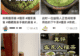 到底是谁在往茶里加香菜、折耳根和榴莲啊!