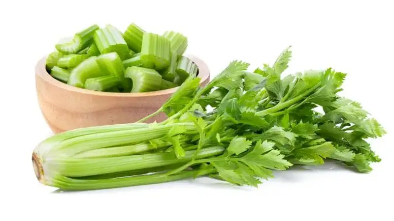 芹菜的营养价值?