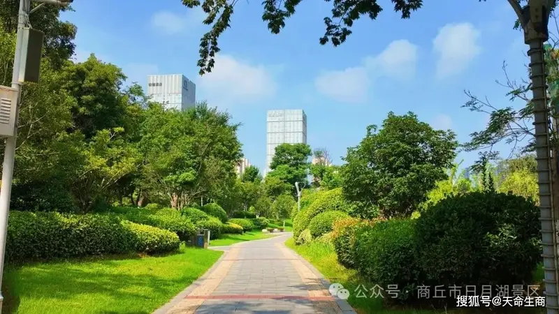 商丘日月湖景区：揽一城湖光，度一夏清欢