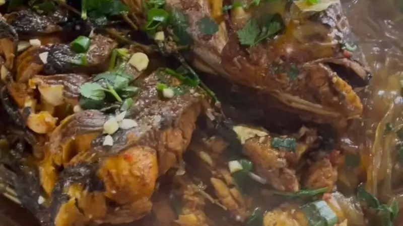 庆岭活鱼怎么选 出行聚餐参考指南