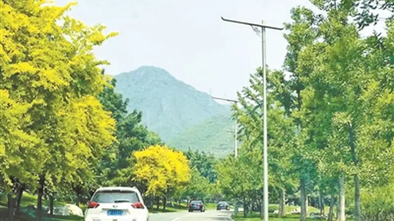 乌鲁木齐、成都等成暑期自驾游热门目的地