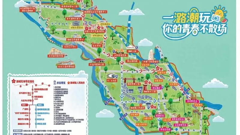 通州这里波斯菊+向日葵花海盛放!还能骑行、开卡丁车~