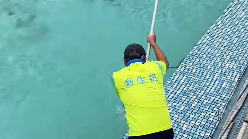 广东一景区泳池惊现游蛇,目击者称在户外很正常,景区回应:无人受伤,系无毒蛇已处理
