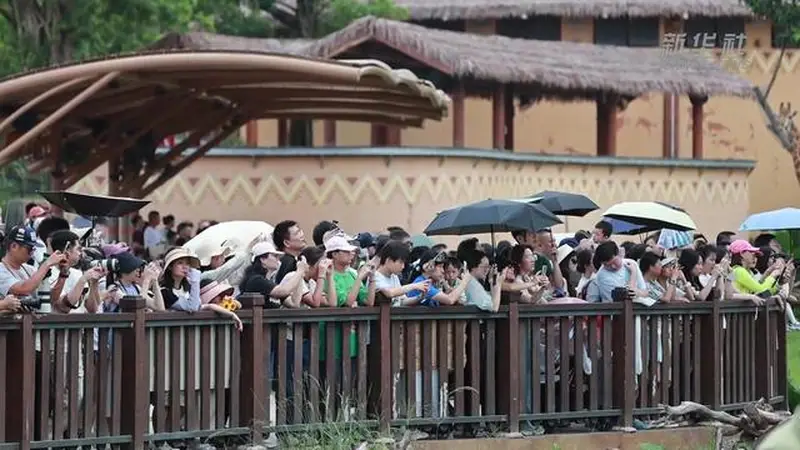 广东暑期文旅上新 生态体验激发新动能