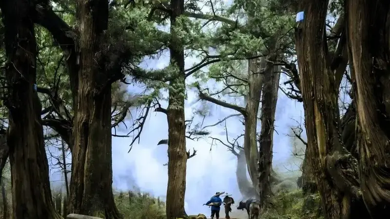 古道承古韵,新路绘新途!串联山水画卷的绵阳公路