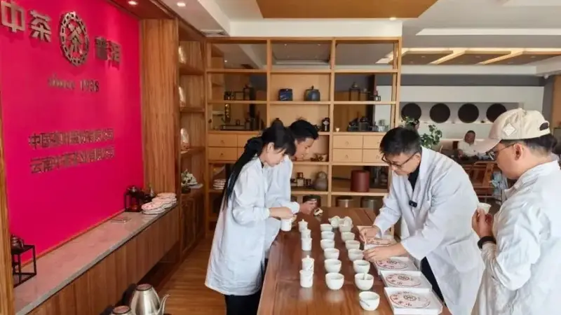 中茶云南开启广东仓二次专项审评，解密普洱茶仓储逻辑