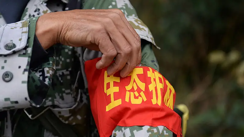 学习进行时丨“人不负青山，青山定不负人”