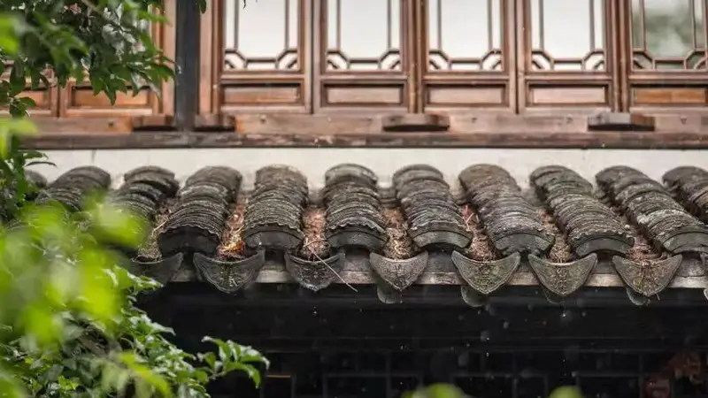 暑气蒸腾,不如来这里解锁江南盛夏的风雅诗意