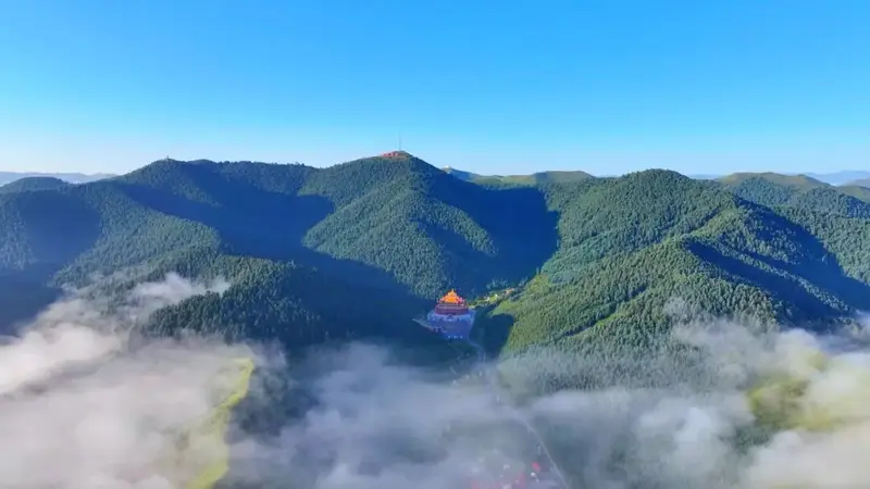 在雪域羚城,找到了夏天最美的模样