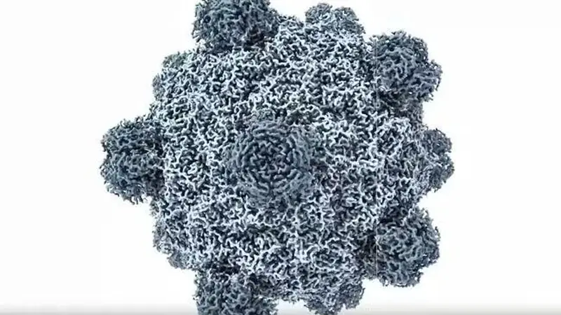首次!美国科学家利用AI,从零生成功能性病毒