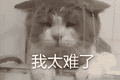 重燃热血，回归正当时！怀旧mmo玩家归宿还得是天下贰经典版