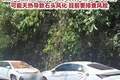 贵州赤水丹霞大瀑布景区发生山体落石，有游客受伤、车辆被砸