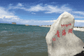 【美文】青海湖
