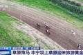 草原策马、民俗体验 各地奉上“夏日限定”文旅大餐