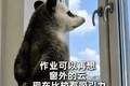 一高校录取通知书附带30份作业，新生：不嘻嘻...