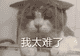 重燃热血,回归正当时!怀旧mmo玩家归宿还得是天下贰经典版