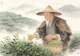 民间故事:谷雨茶的故事!