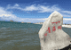 【美文】青海湖