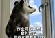 一高校录取通知书附带30份作业,新生:不嘻嘻...