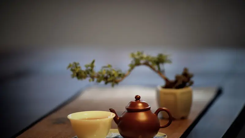 一茶一世界:品人生之苦,盼回甘之甜