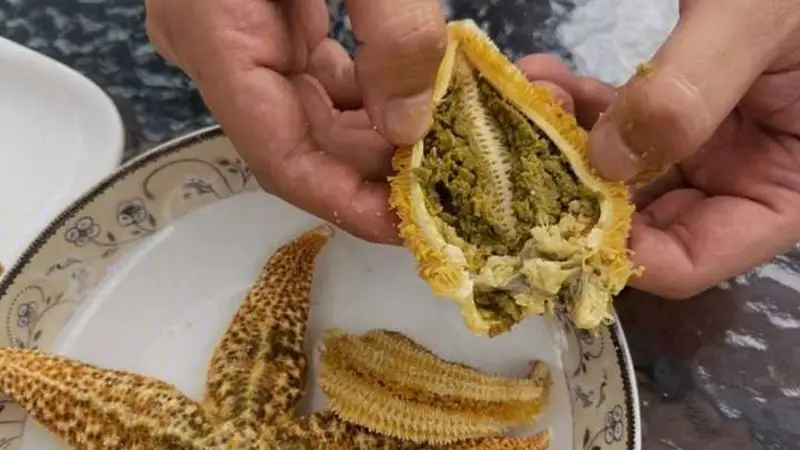 海星火锅:一次让我抱马桶的惊喜体验