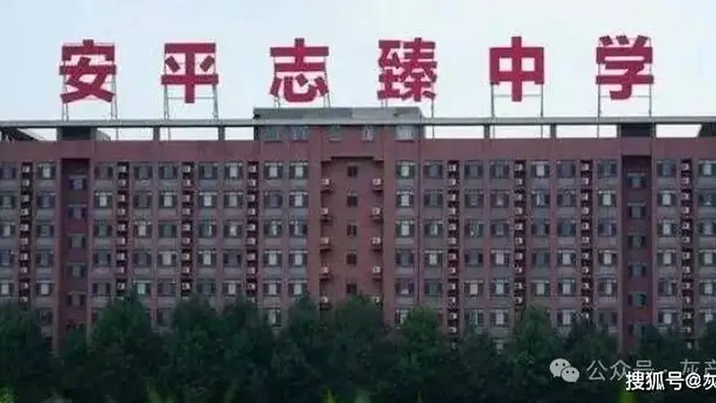 2元套走8亿资产,衡水志臻中学事件背后的水多深?