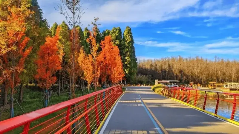 不要浪费昆明的雨天!7条专线带你解锁滇池湿地限定美景