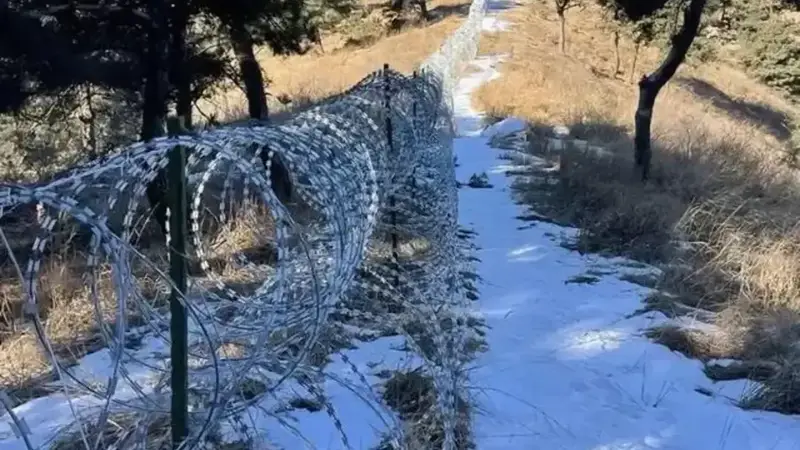 泰山“刀片围山”背后的决策逻辑,该说得更清楚