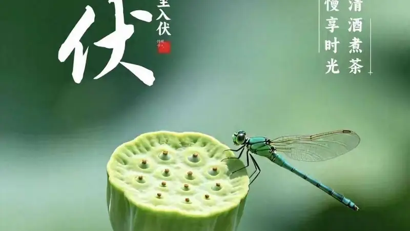 明日入伏,强烈建议中老年:明日早餐吃这4种,精神抖擞一整天!