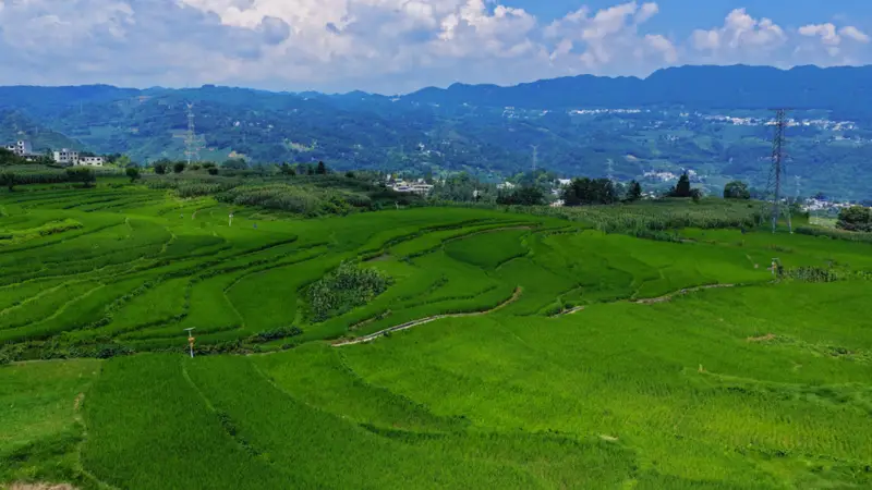 大方县小屯乡:千亩梯田,还你夏日清凉