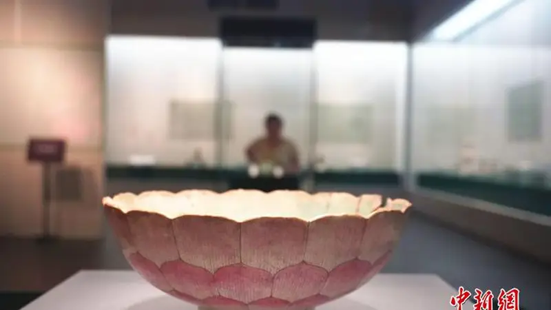河南郑州:莲花文物专题展吸引观众